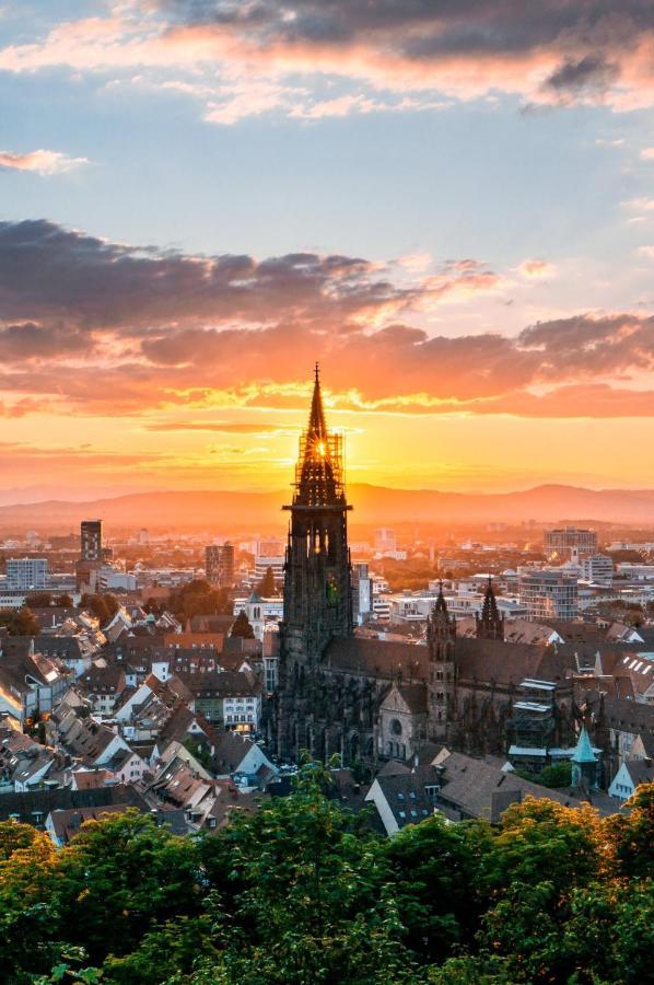 City Lux Apartment In Der Stadt Freiburg im Breisgau Eksteriør bilde