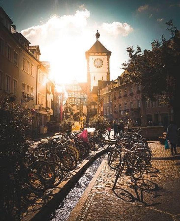 City Lux Apartment In Der Stadt Freiburg im Breisgau Eksteriør bilde
