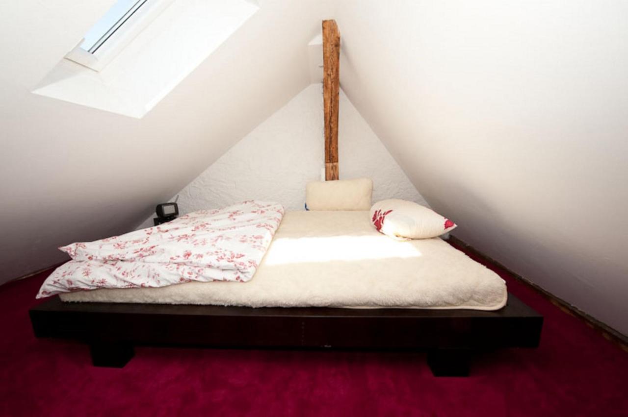 City Lux Apartment In Der Stadt Freiburg im Breisgau Eksteriør bilde